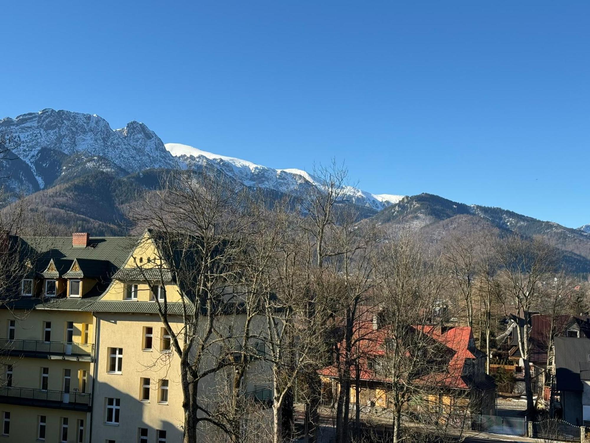Dafne Zakopane Bed & Breakfast Bagian luar foto