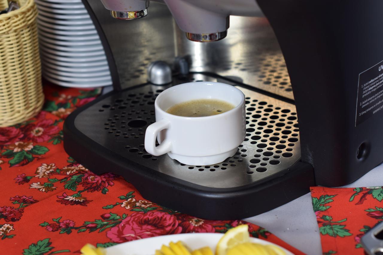 Dafne Zakopane Bed & Breakfast Bagian luar foto