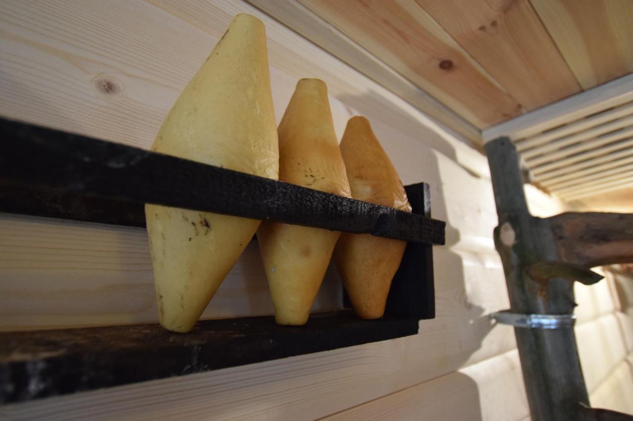 Dafne Zakopane Bed & Breakfast Bagian luar foto